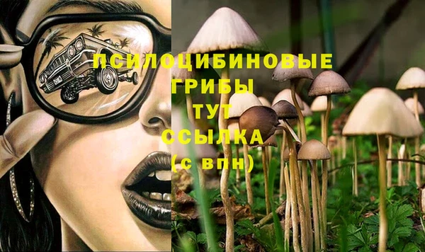 СК Заволжье