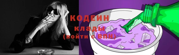 бошки Заводоуковск