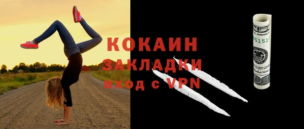 бошки Заводоуковск