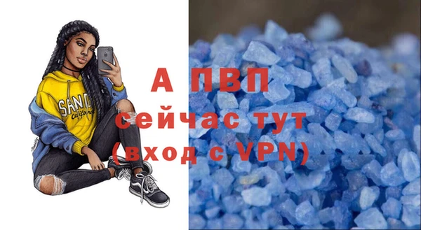 СК Заволжье