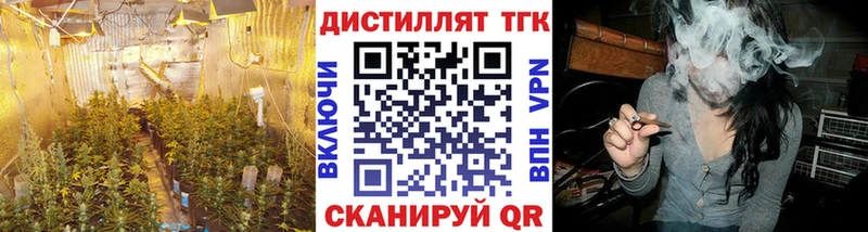 ТГК вейп наркота Вытегра
