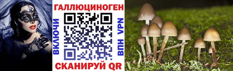 где найти наркотики  Вытегра  Галлюциногенные грибы GOLDEN TEACHER 